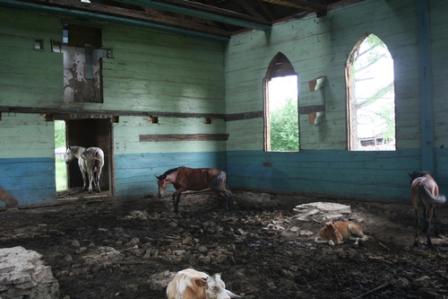 2012f_8_hobused_500px