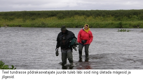 16_tundra_Signe_joe_500px