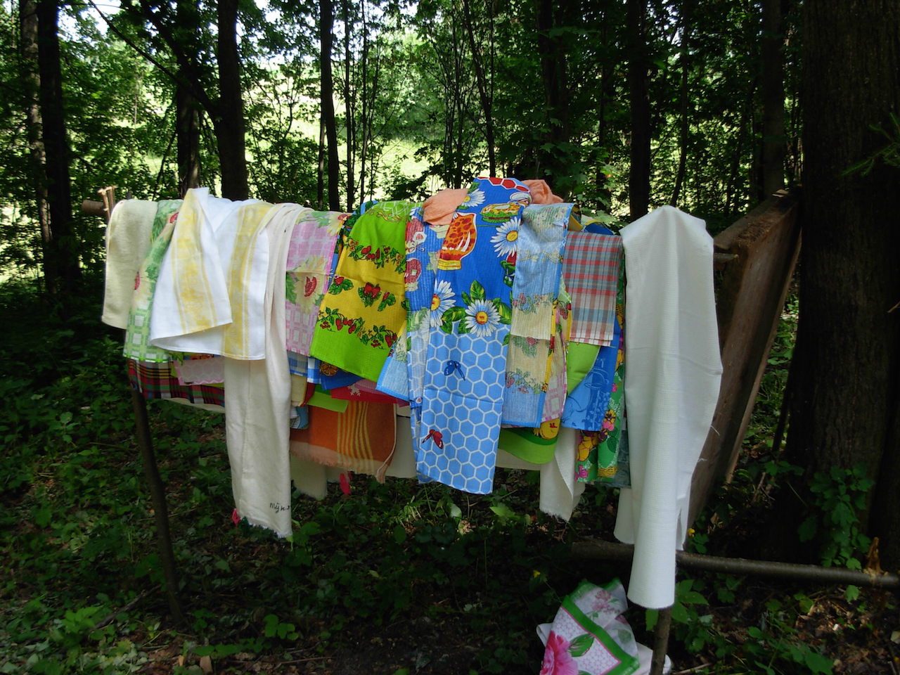 Hiide riputatud rättidel usutakse olevat tervendav mõju